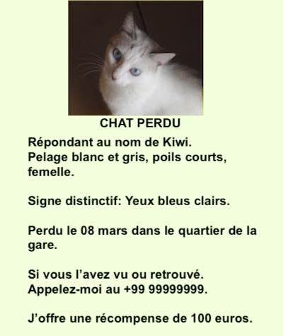 Chat perdu