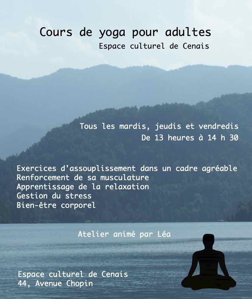 Cours de Yoga